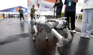 1116代码-米兰电竞